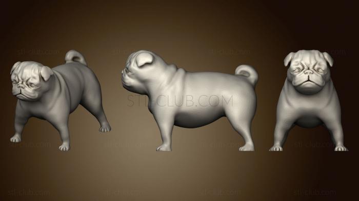 3D model Pug 345 (STL)